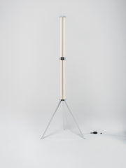 SuperWire Floor Lamp