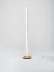 Coordinates Floor Lamp / Anodized Champagne