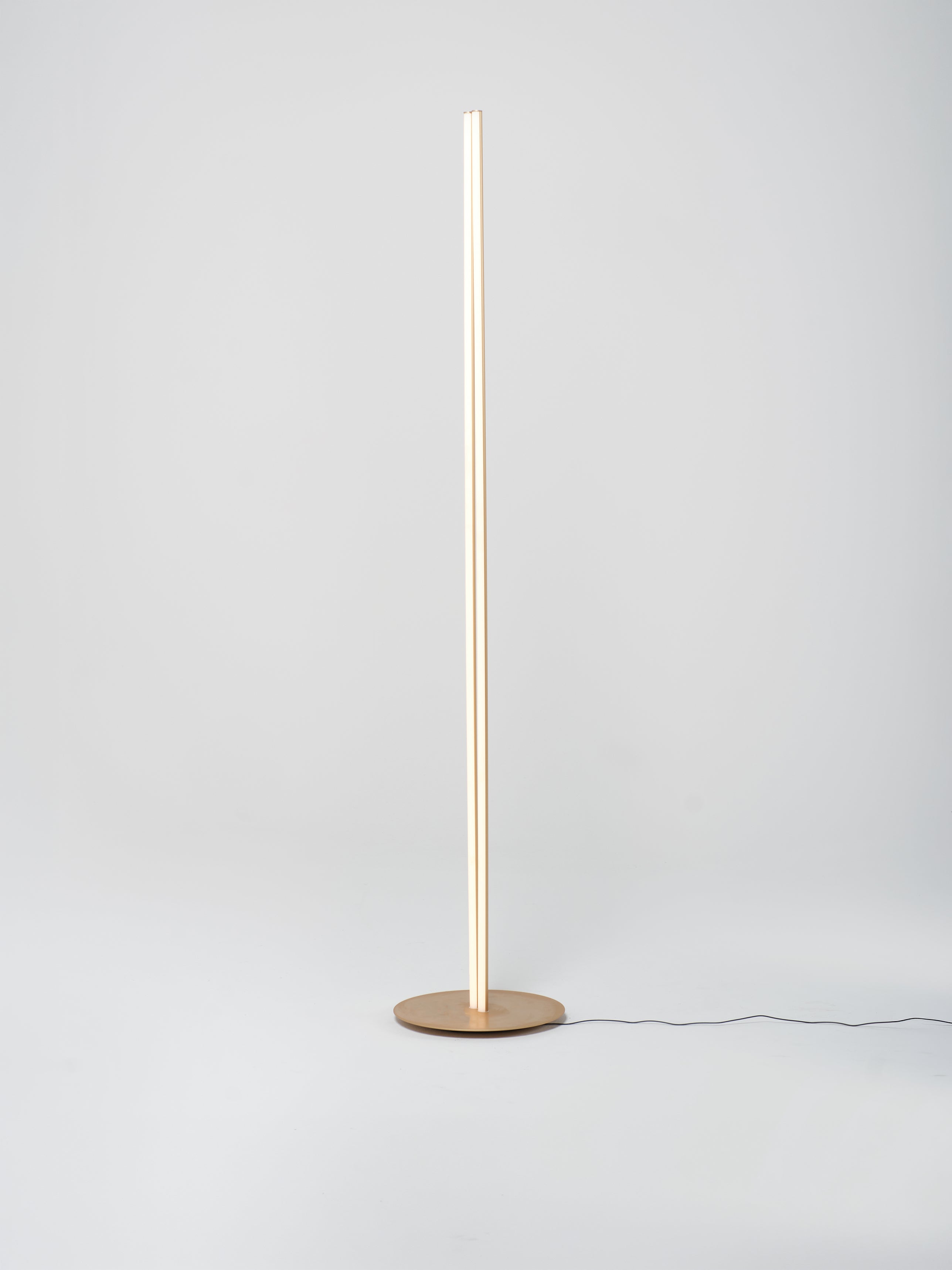 Coordinates Floor Lamp / Anodized Champagne